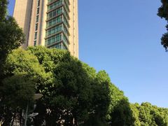 -苏州洲际酒店·大堂酒廊