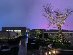 -杭州君悦酒店