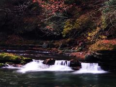 -黎坪国家森林公园