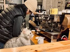 -隅cafe(傅厚岗店)