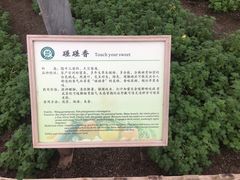 -上海都市菜园