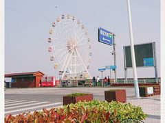 -碧海金沙