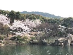 -白马涧龙池景区