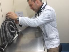 -荣耀金沙动物医院(清江西路店)