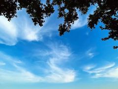 -小龙坎老火锅(北大荒店)