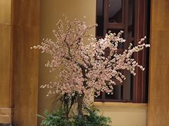 -天津东丽湖恒大酒店-温泉自助餐厅