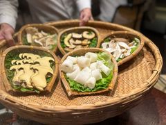 -滇野云南野生菌餐厅(陕西南路店)