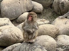 -常州淹城野生动物世界