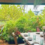 苏州plmm都在这家森系餐厅过生日🎂