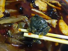 -黑竹香鸡(营和巷店)