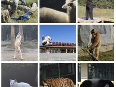 -杭州野生动物世界