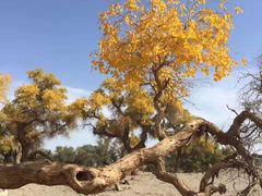 -沙漠世界地质公园