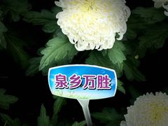 -汇龙潭