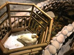 -馬蘭花開(车站大道店)
