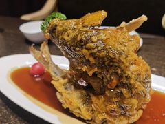 -老牌坊鲁菜名店(聊城美食岛店)