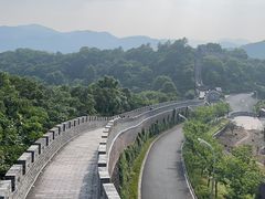 -黄贤森林公园