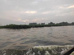-白洋淀景区