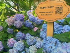 -常州古运河南大街文化旅游区-人民公园