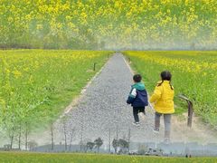 -汉长安城未央宫国家考古遗址公园