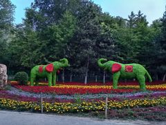 -长白岛森林公园