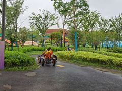 -季高兔窝窝亲子园(上海薰衣草公园店)