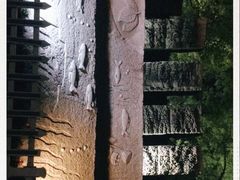 -桐乡植物园