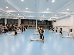 -西安小天鹅艺术团(曲江Alice店)