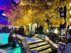 -淀里船宴(裕华东路店)