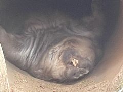 -费瑟代尔野生动物园