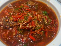 -欧记大排档·景德菜(上海首店)