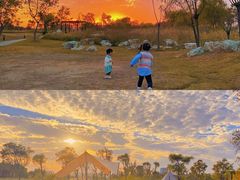 -春花秋色城市公园