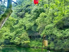-石台牯牛降景区