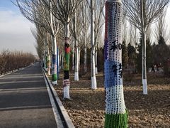 -乌素图国家森林公园