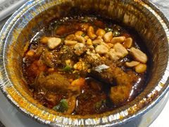 -老号尤兔头(幸福店)