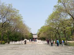 -晋祠公园