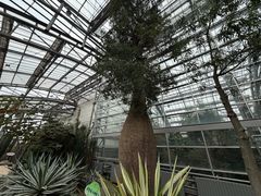 -南山植物园