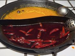 -朱光玉火锅馆(正弘城店)