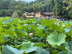 -韶山毛泽东同志故居
