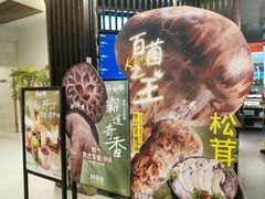 -芸山季·云南野生菌火锅(人民广场来福士店)