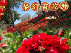 -松山湖南湖湾露营营地