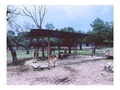 -西安秦岭野生动物园