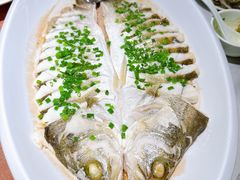 -船歌·鱼水饺青岛菜(石老人店)