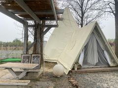 -安德鲁户外烧烤帐篷营地(马泉营店)