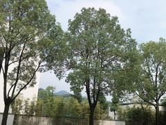 -杭州半山国家森林公园