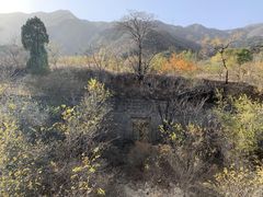 -大觉寺-停车场