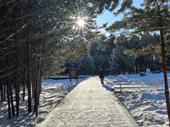 -北极村旅游风景区