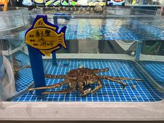 -大连湾旭日饭店(大连湾店)