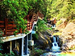 -广州白江湖森林公园