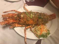 -Red Lobster