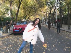 -三里屯东五街银杏大道
